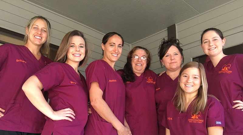 About us | Veterinarian in Lake Placid, FL | Heartland Animal Hospital